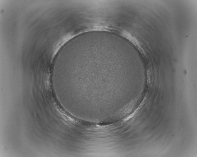 X0000070411260200606161402