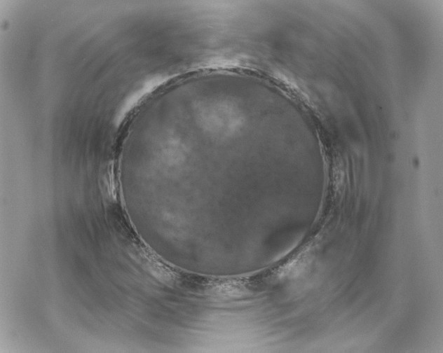 X0000070411262200606161402