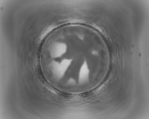 X0000070411263200606161402