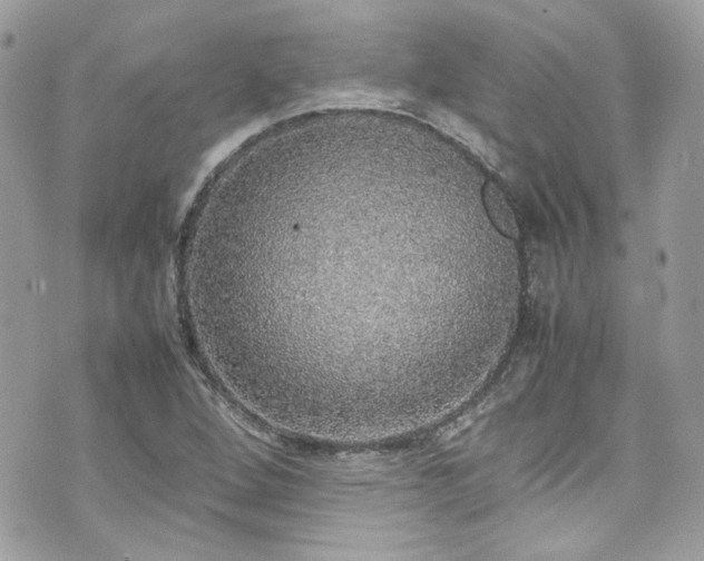 X0000070411264200606161402