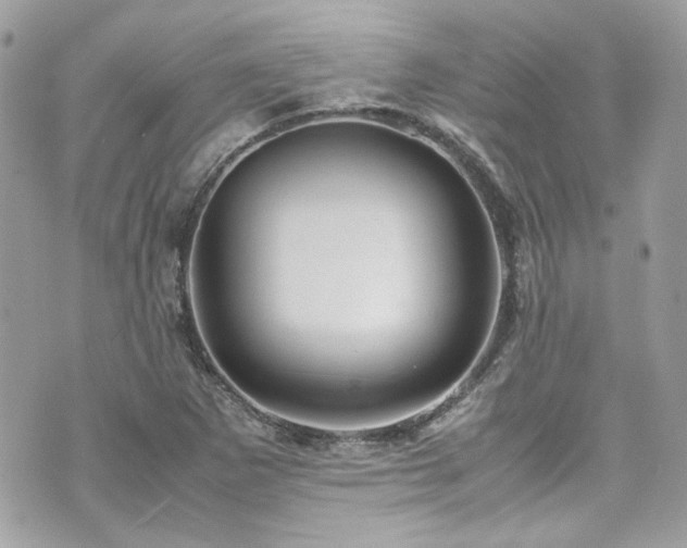 X0000070411265200606161402