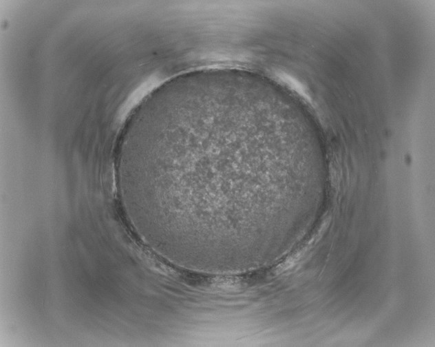 X0000070411267200606161402