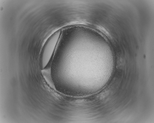 X0000070411268200606161402