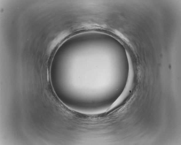 X0000070411269200606161402