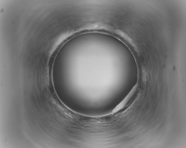 X0000070411270200606161402