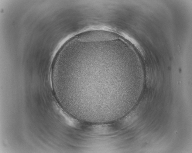 X0000070411272200606161402