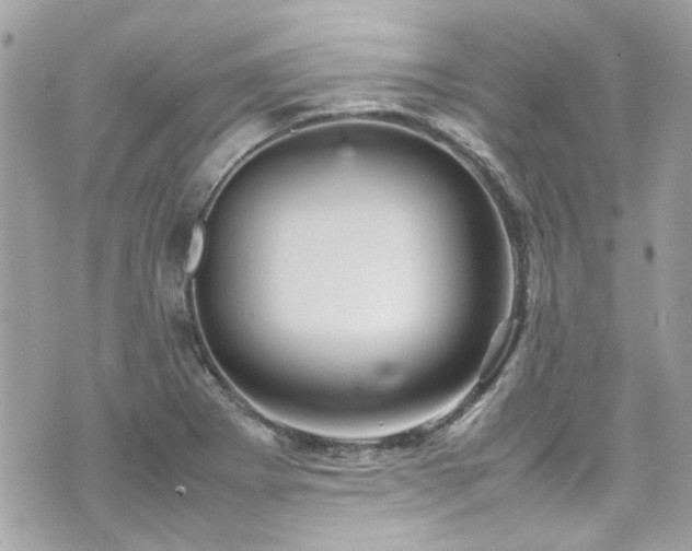 X0000070411273200606161402