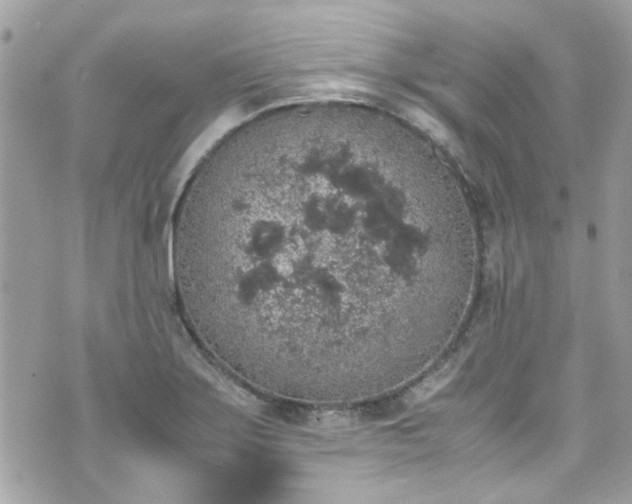 X0000070411275200606161402