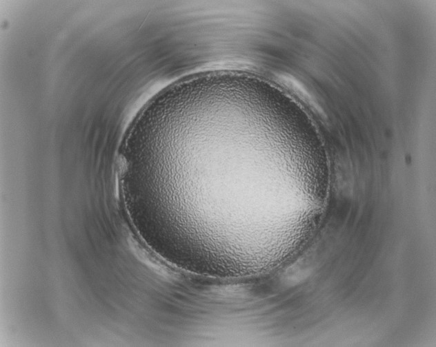 X0000070411276200606161402