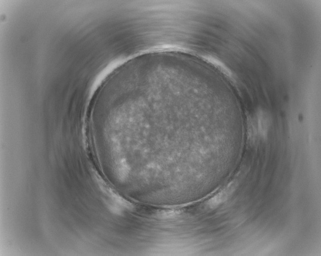 X0000070411278200606161402