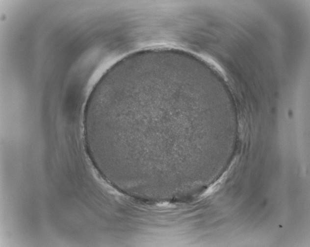 X0000070411279200606161402