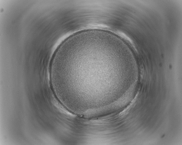 X0000070411280200606161402