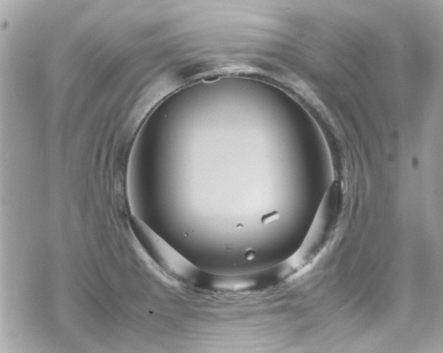 X0000070411281200606161402