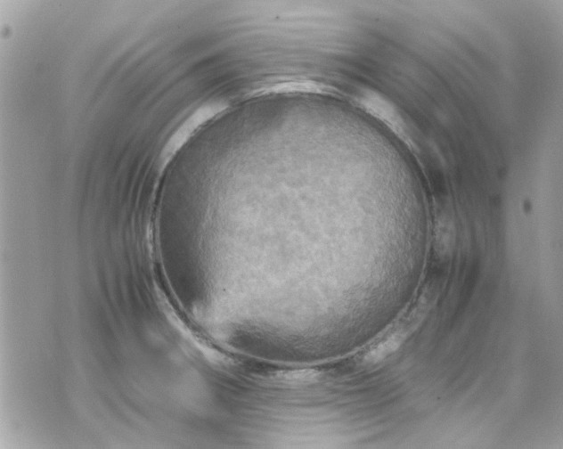 X0000070411282200606161402