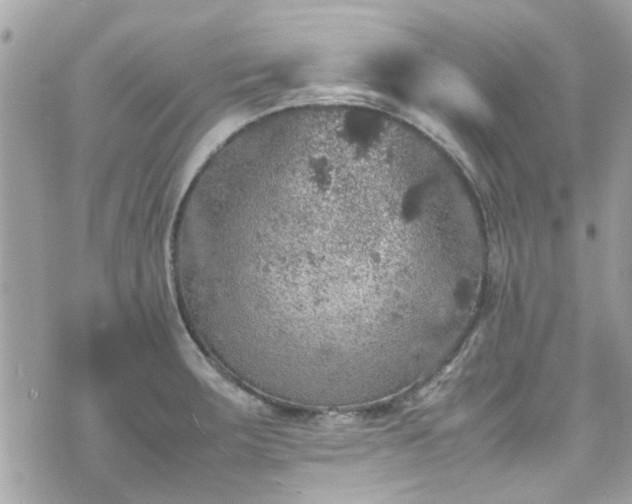 X0000070411283200606161402