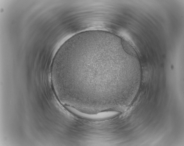 X0000070411284200606161402