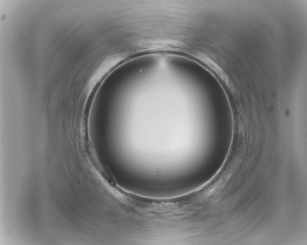 X0000070411285200606161402