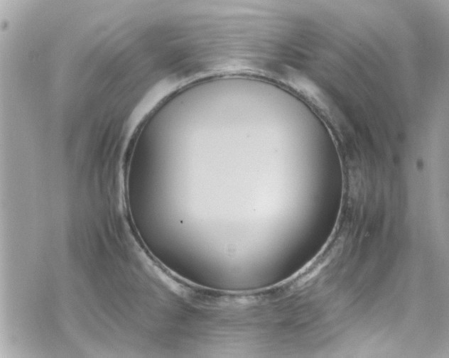 X0000070411286200606161402