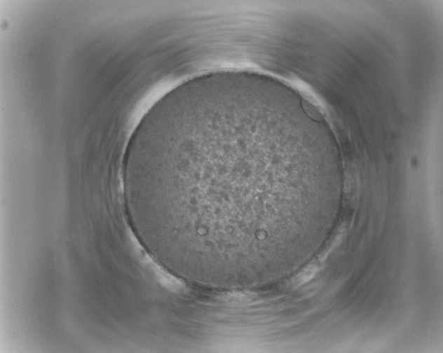 X0000070411287200606161402