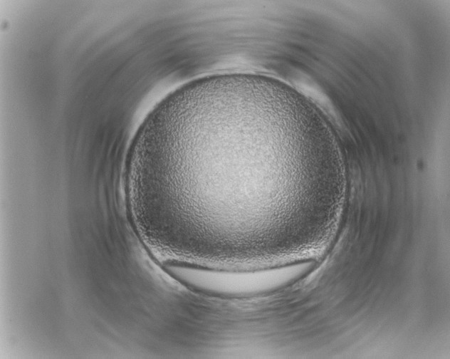 X0000070411288200606161402