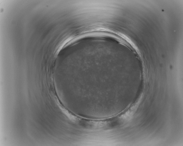 X0000070411289200606161401