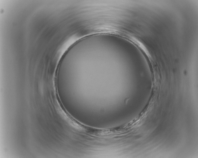 X0000070411291200606161401