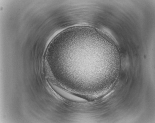 X0000070411292200606161401