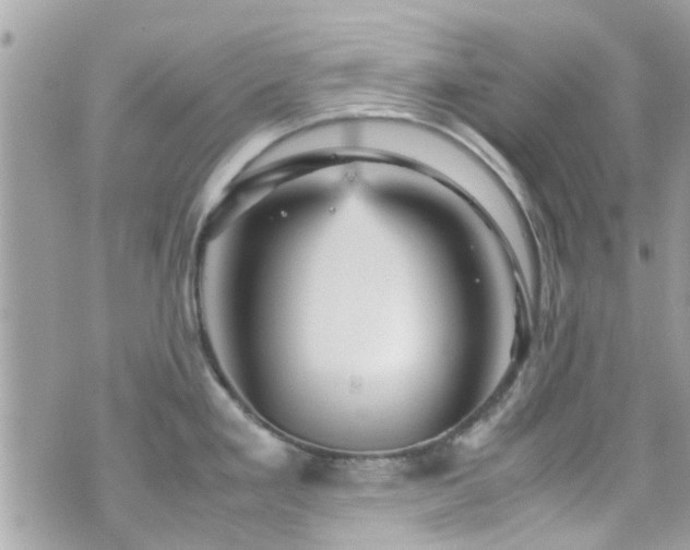 X0000070411293200606161401