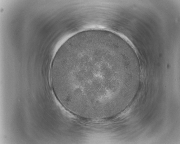 X0000070411295200606161401