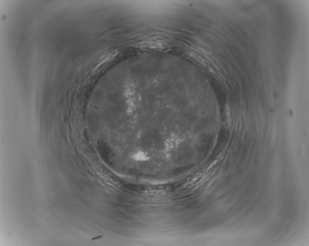 X0000070411297200606161401