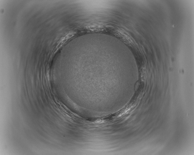 X0000070411298200606161401