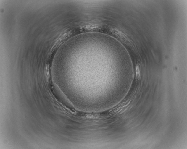 X0000070411299200606161401