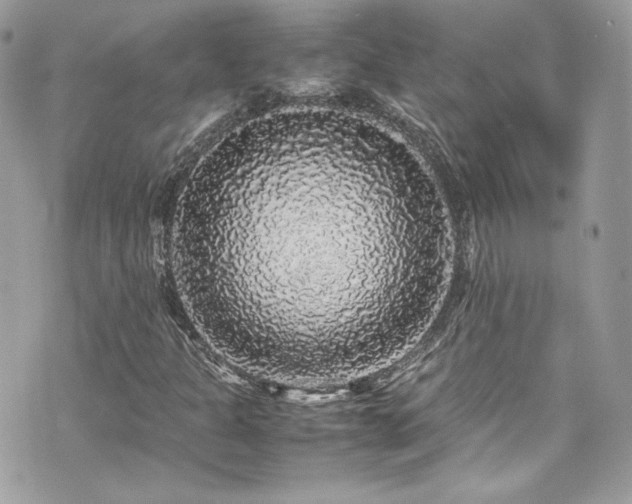 X0000070411301200606161401