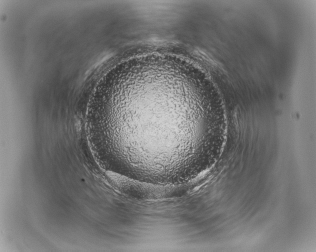 X0000070411302200606161401