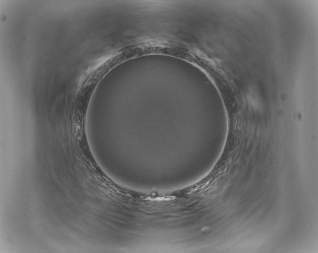 X0000070411303200606161401