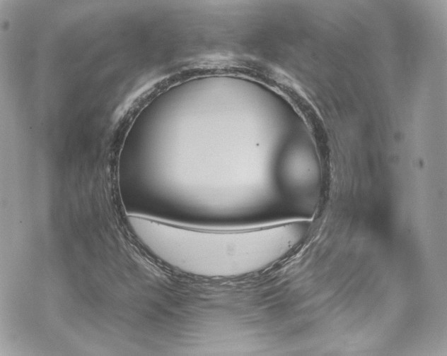 X0000070411304200606161401