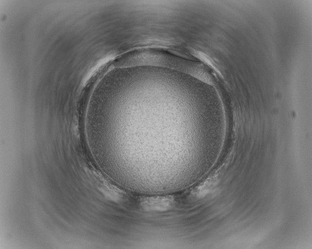 X0000070411307200606161401