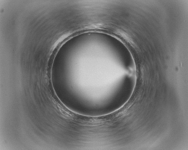 X0000070411308200606161401