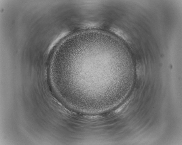 X0000070411309200606161401