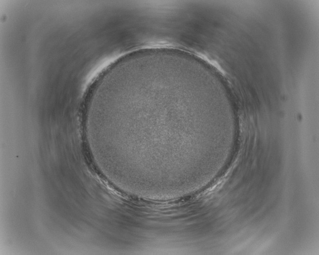 X0000070411311200606161401