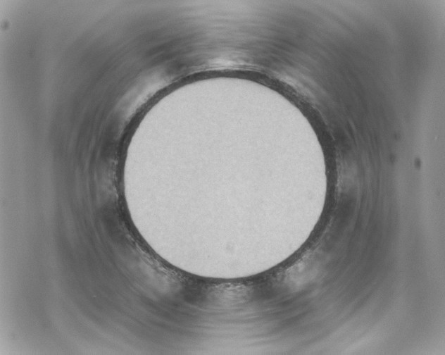 X0000070411314200606161401