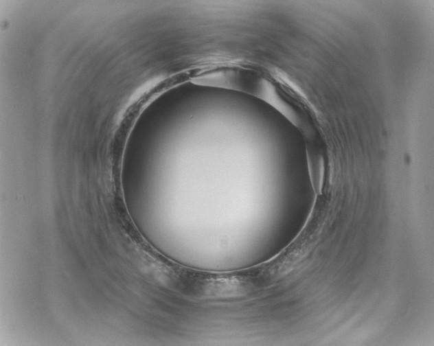 X0000070411315200606161401