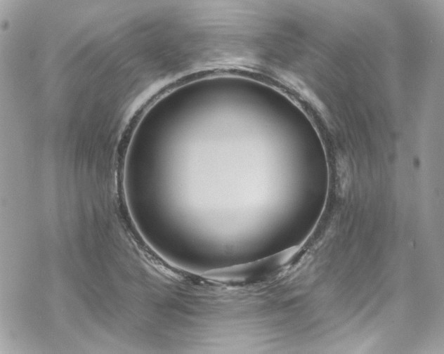 X0000070411316200606161401