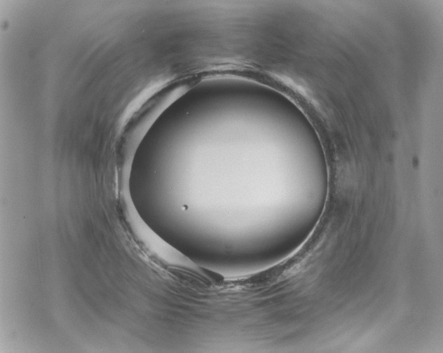 X0000070411317200606161401