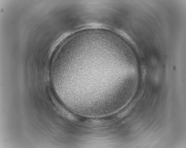 X0000070411318200606161401