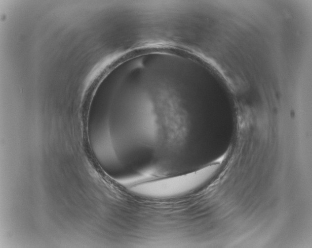 X0000070411319200606161401