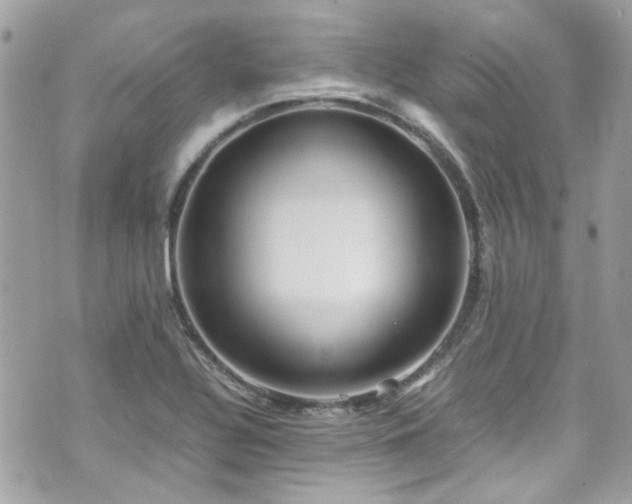 X0000070411320200606161401