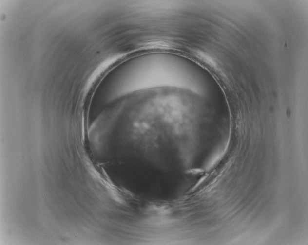 X0000070411323200606161401