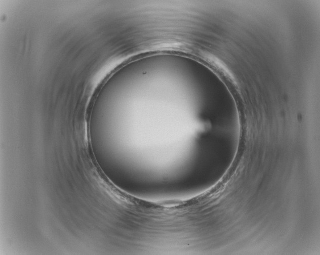 X0000070411324200606161401