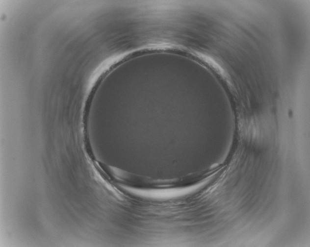 X0000070411327200606161401